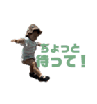 sumiredesu.4（個別スタンプ：1）