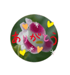 可愛く咲いたお花スタンプいろいろ（個別スタンプ：3）