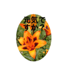 可愛く咲いたお花スタンプいろいろ（個別スタンプ：7）