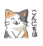 猫大好き！その36（個別スタンプ：2）