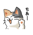 猫大好き！その36（個別スタンプ：4）