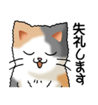 猫大好き！その36（個別スタンプ：6）