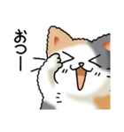 猫大好き！その36（個別スタンプ：9）