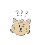 猫のとらきち（個別スタンプ：11）