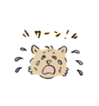 猫のとらきち（個別スタンプ：13）