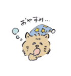 猫のとらきち（個別スタンプ：16）