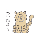 猫のとらきち（個別スタンプ：23）