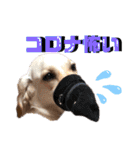 ティンとジャム（個別スタンプ：4）