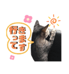 ティンとジャム（個別スタンプ：13）