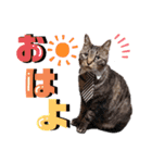 ティンとジャム（個別スタンプ：21）