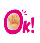 うちのペット！（個別スタンプ：5）