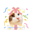 うちのペット！（個別スタンプ：16）