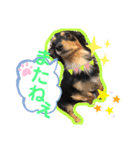 アンジ様♡（個別スタンプ：8）
