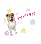 こむぽんスタンプ（1）（個別スタンプ：4）