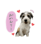 こむぽんスタンプ（1）（個別スタンプ：6）