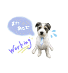 こむぽんスタンプ（1）（個別スタンプ：10）