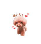 愛犬くうちゃんのスタンプ（個別スタンプ：4）