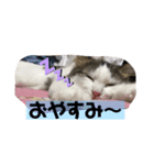 ちょーなん家エマたん（個別スタンプ：5）