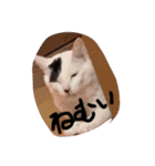 じたんとたきん（個別スタンプ：2）