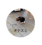 じたんとたきん（個別スタンプ：18）