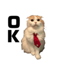 有岡家の猫（個別スタンプ：1）