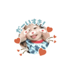れおんのあ（個別スタンプ：4）