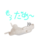 ふじくんの日常（個別スタンプ：3）