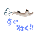 ふじくんの日常（個別スタンプ：6）