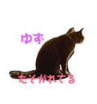 ゆずの1日ぱーと1（個別スタンプ：3）