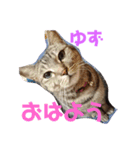 ゆずの1日ぱーと1（個別スタンプ：7）