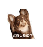 chako★（個別スタンプ：2）
