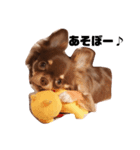 chako★（個別スタンプ：7）