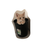 ミルクん（個別スタンプ：4）
