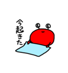 ゆるいかに（個別スタンプ：11）