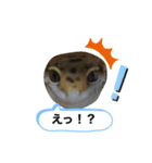 可愛いヤモリーズ編集（個別スタンプ：4）