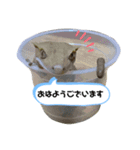 可愛いヤモリーズ編集（個別スタンプ：8）