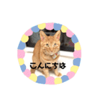 うたまろスタンプ①挨拶編（個別スタンプ：1）