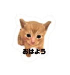 うたまろスタンプ①挨拶編（個別スタンプ：6）
