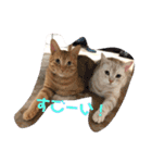 うたまろスタンプ①挨拶編（個別スタンプ：13）