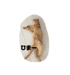 うたまろスタンプ①挨拶編（個別スタンプ：23）