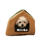 ぼくの名前は、ぽむ。（個別スタンプ：2）