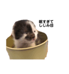 なかまたちゆかいな（個別スタンプ：2）