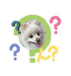 ガロらいとフレンド（個別スタンプ：12）