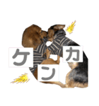 ガロらいとフレンド（個別スタンプ：22）