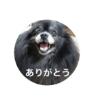 キャンディとコロン（個別スタンプ：2）