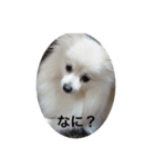 キャンディとコロン（個別スタンプ：9）