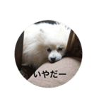 キャンディとコロン（個別スタンプ：10）