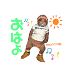 Welcome to Shakir（個別スタンプ：1）