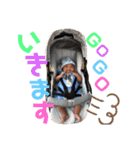 Welcome to Shakir（個別スタンプ：9）