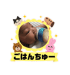 Welcome to Shakir（個別スタンプ：24）